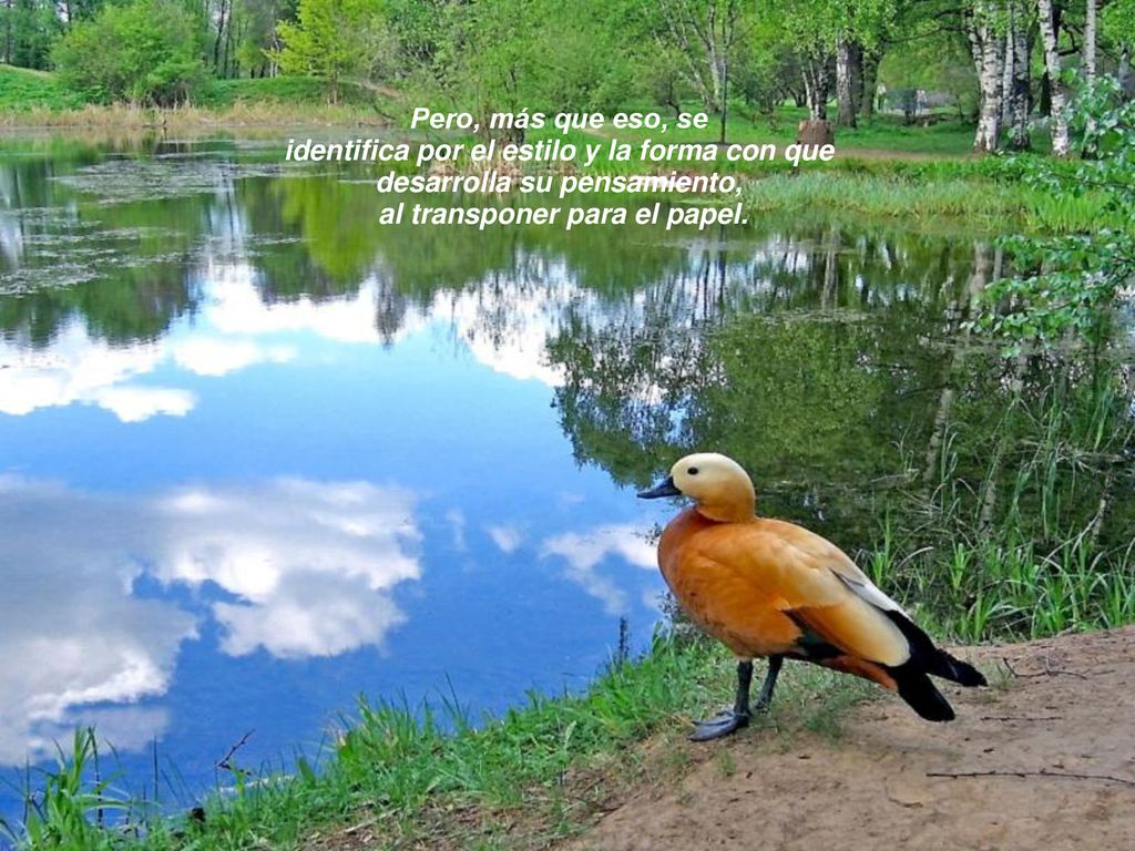 identifica por el estilo y la forma con que desarrolla su pensamiento,