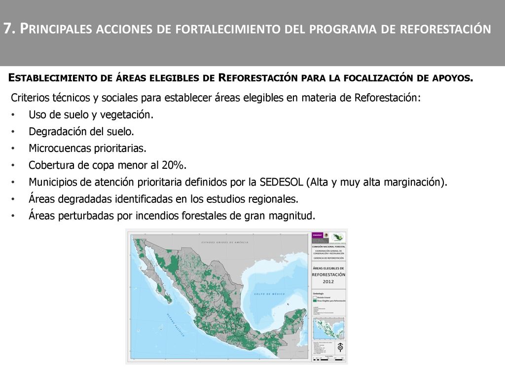 7. Principales acciones de fortalecimiento del programa de reforestación
