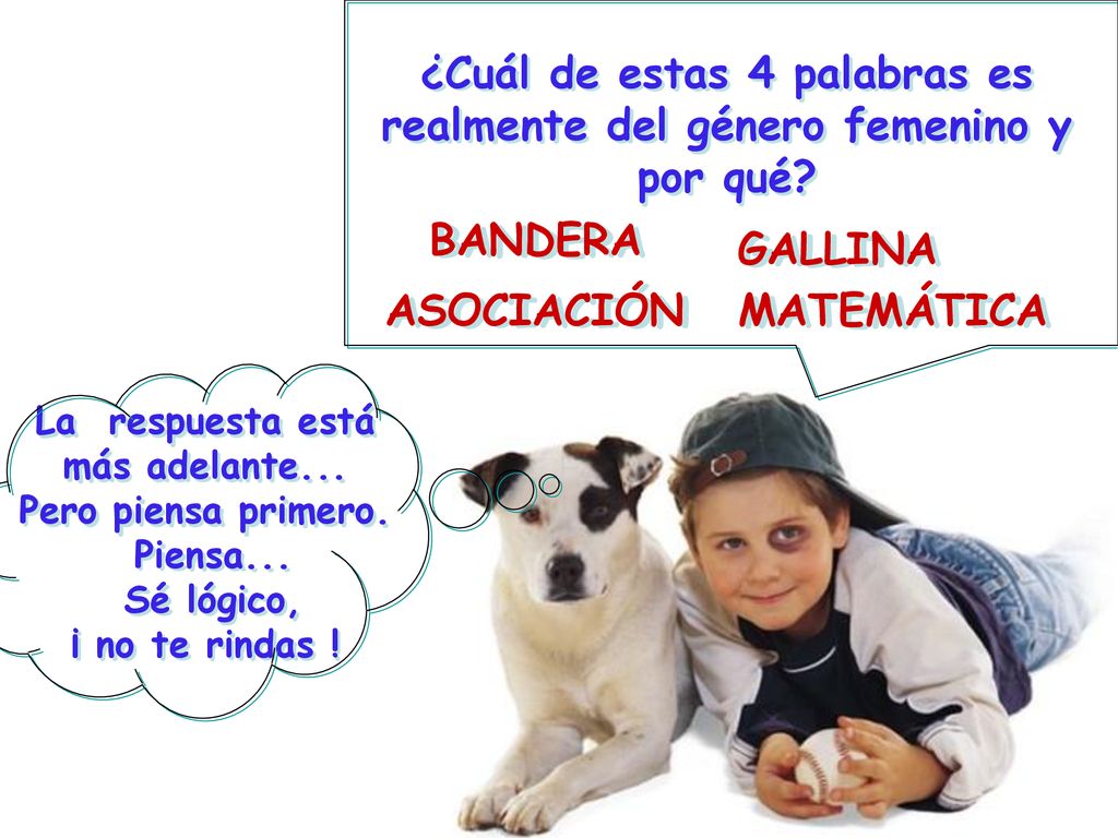 ¿Cuál de estas 4 palabras es realmente del género femenino y por qué