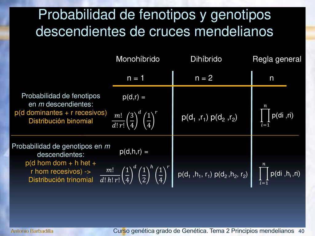Probabilidad de fenotipos y genotipos descendientes de cruces mendelianos