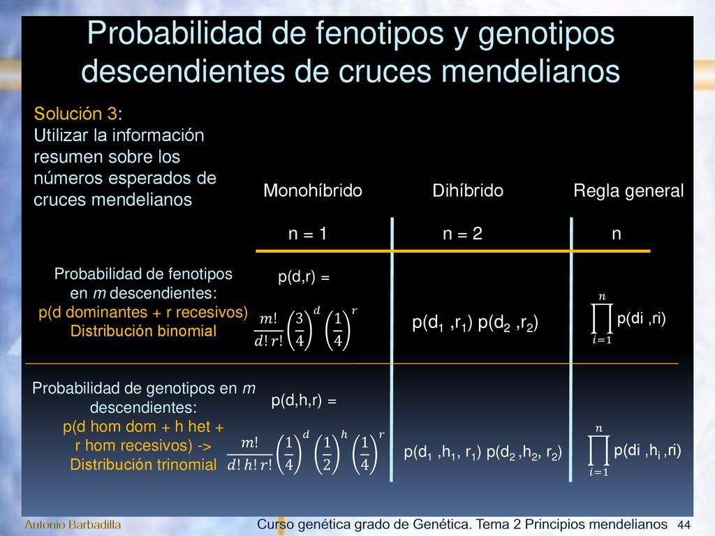 Probabilidad de fenotipos y genotipos descendientes de cruces mendelianos
