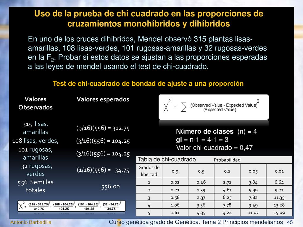 Uso de la prueba de chi cuadrado en las proporciones de cruzamientos monohíbridos y dihíbridos
