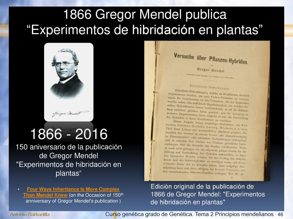 1866 Gregor Mendel publica Experimentos de hibridación en plantas