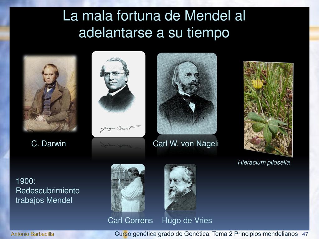 La mala fortuna de Mendel al adelantarse a su tiempo