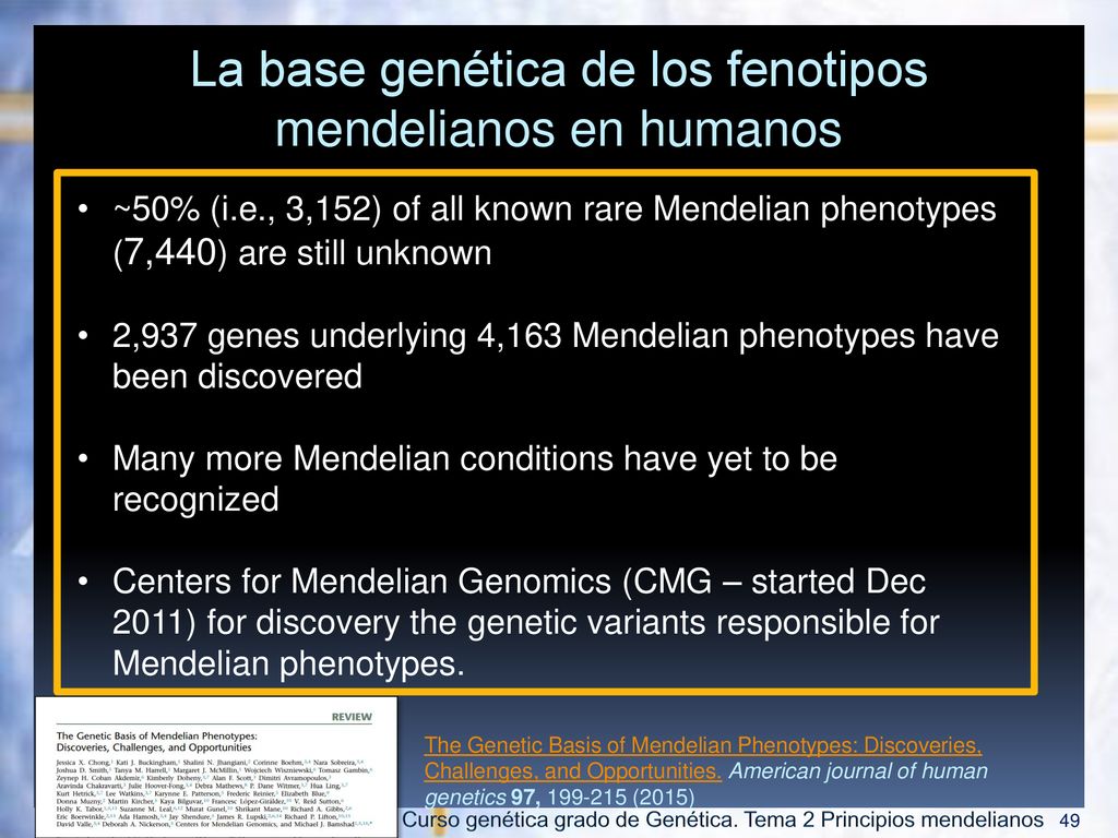 La base genética de los fenotipos mendelianos en humanos