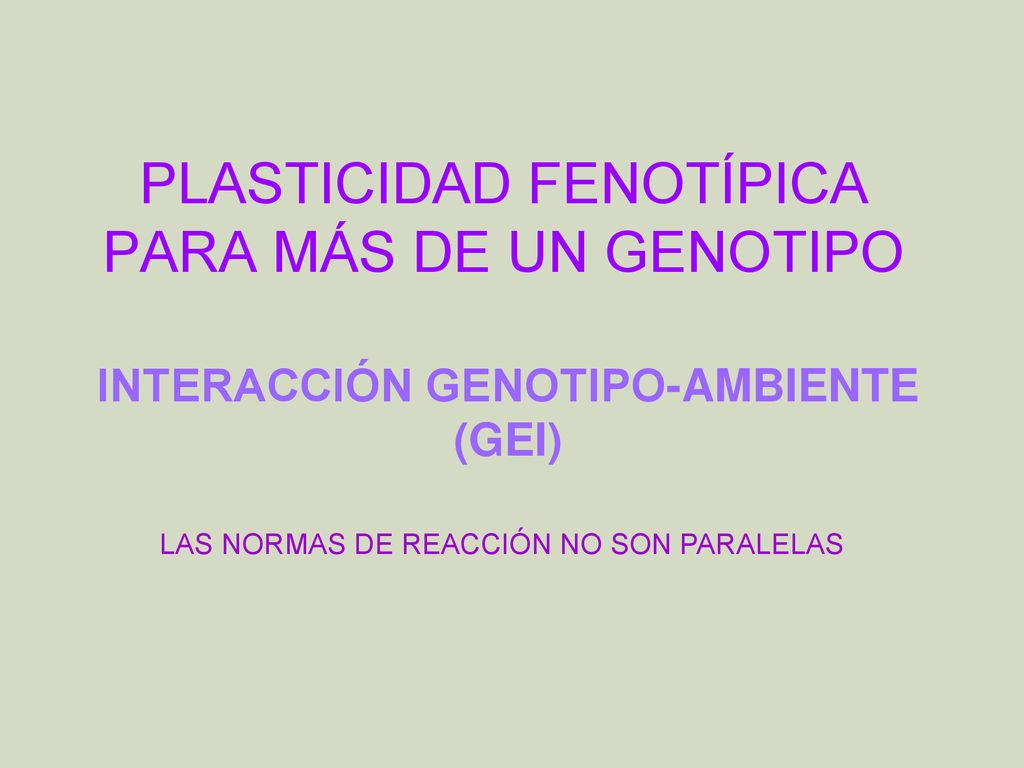 PLASTICIDAD FENOTÍPICA PARA MÁS DE UN GENOTIPO