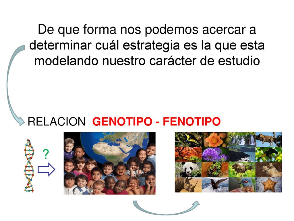 De que forma nos podemos acercar a determinar cuál estrategia es la que esta modelando nuestro carácter de estudio