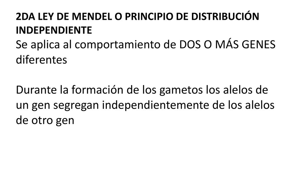 Se aplica al comportamiento de DOS O MÁS GENES diferentes