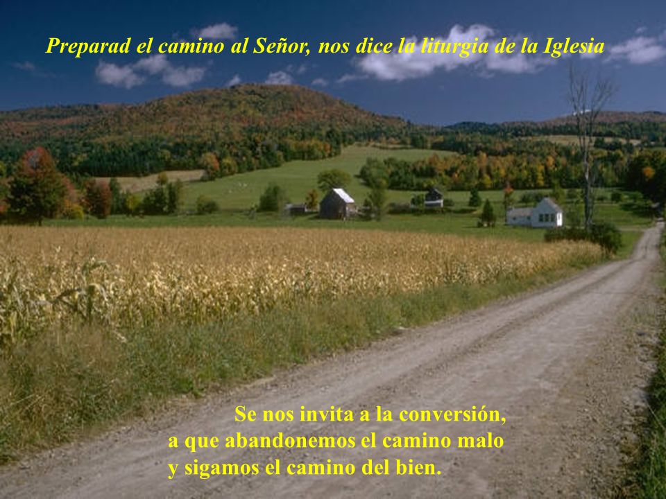 Preparad el camino al Señor, nos dice la liturgia de la Iglesia
