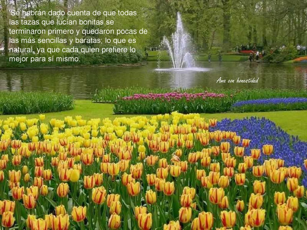 Se habrán dado cuenta de que todas las tazas que lucían bonitas se terminaron primero y quedaron pocas de las más sencillas y baratas; lo que es natural, ya que cada quien prefiere lo mejor para sí mismo.