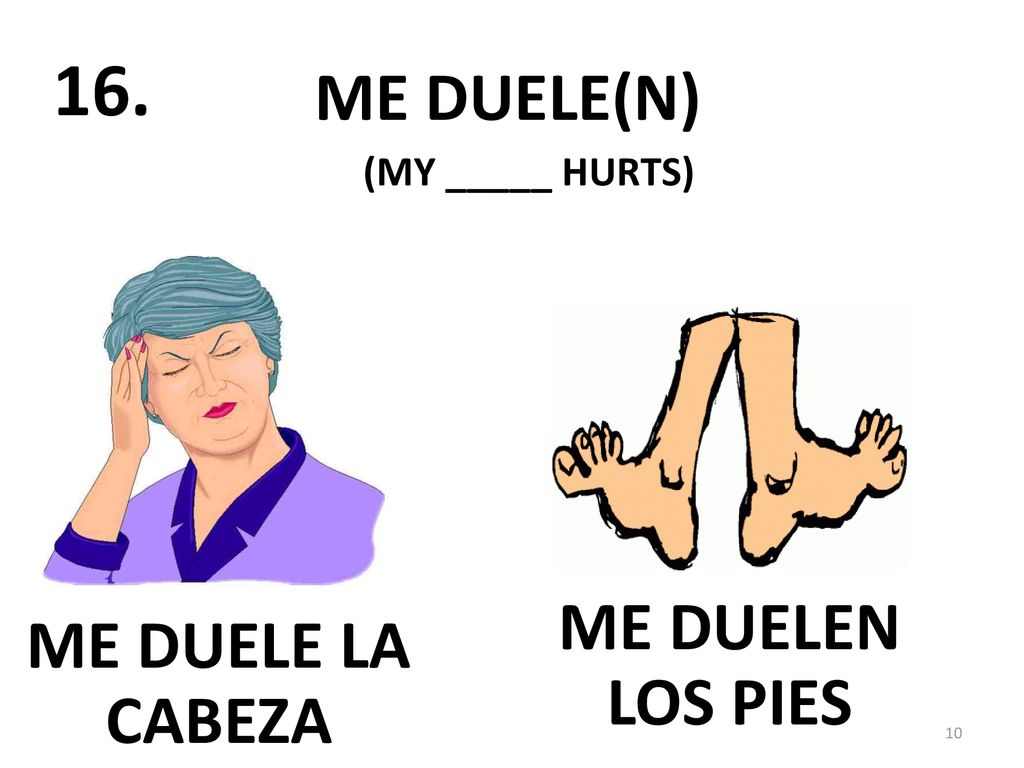ME DUELE(N) 16. (MY _____ HURTS) ME DUELEN LOS PIES ME DUELE LA CABEZA