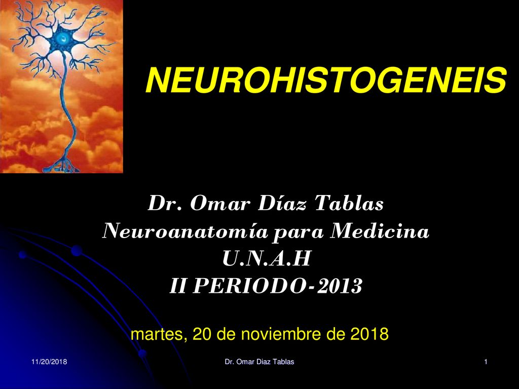 NEUROHISTOGENEIS Dr. Omar Díaz Tablas Neuroanatomía para Medicina U.N.A.H II PERIODO martes, 20 de noviembre de
