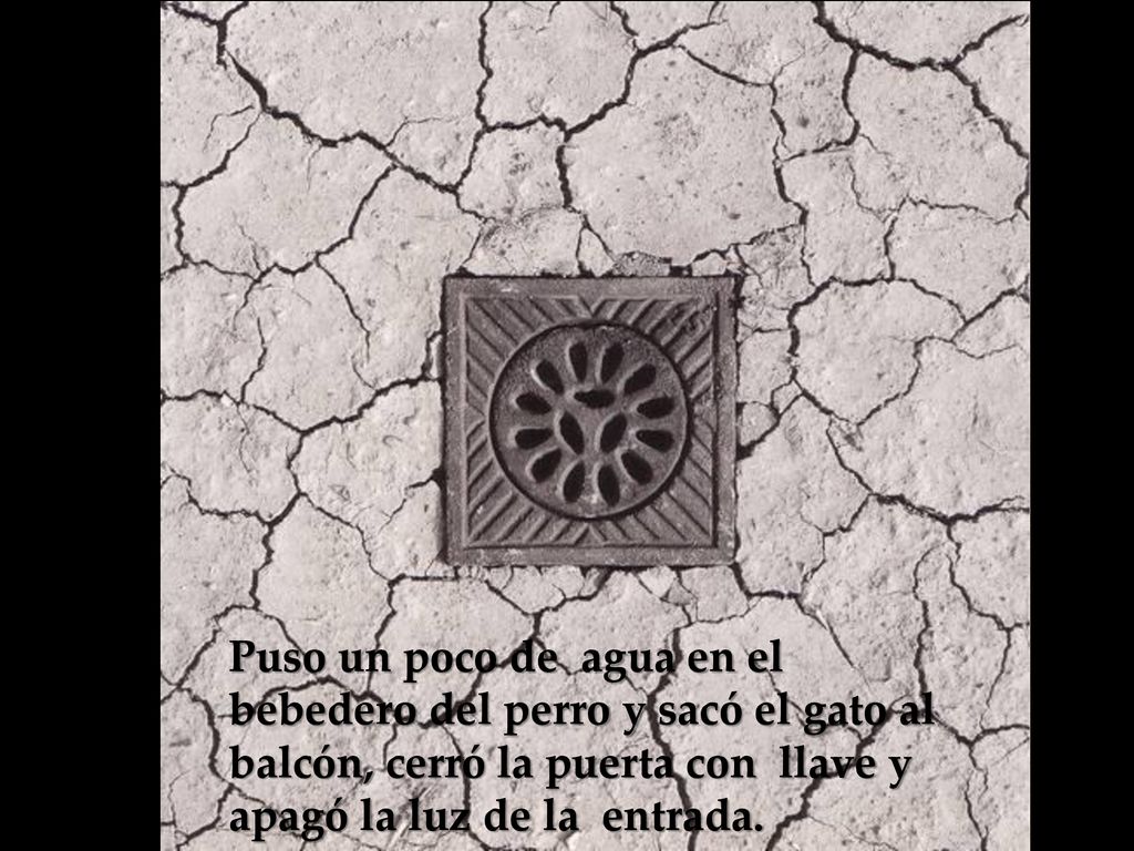 Puso un poco de agua en el bebedero del perro y sacó el gato al balcón, cerró la puerta con llave y apagó la luz de la entrada.
