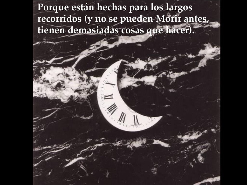 Porque están hechas para los largos recorridos (y no se pueden Morir antes, tienen demasiadas cosas que hacer).