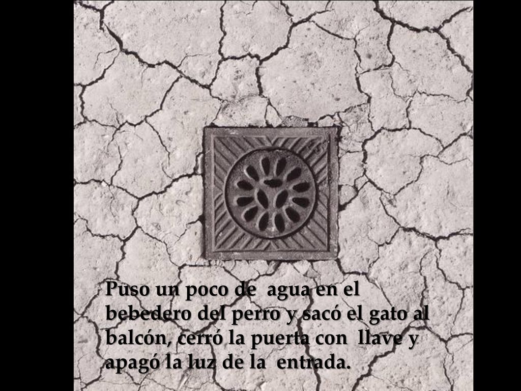 Puso un poco de agua en el bebedero del perro y sacó el gato al balcón, cerró la puerta con llave y apagó la luz de la entrada.