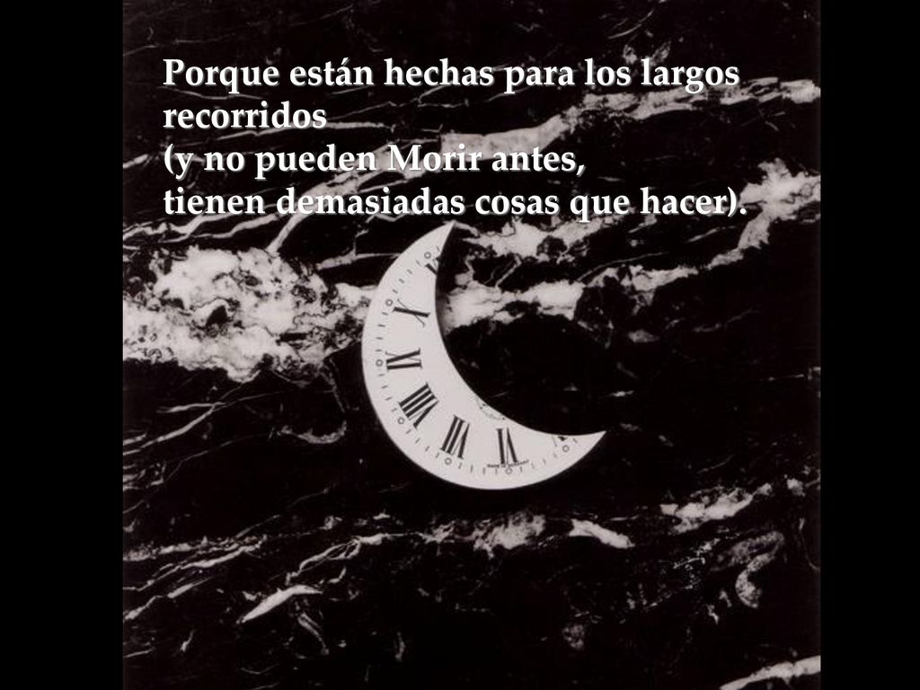Porque están hechas para los largos recorridos