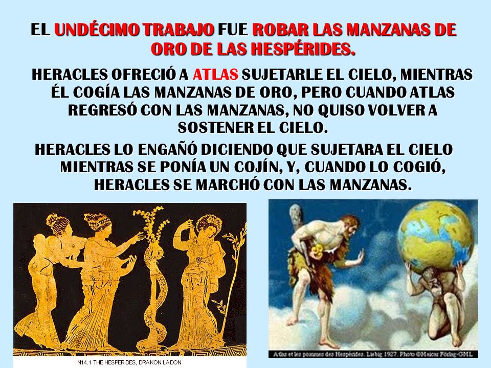 EL UNDÉCIMO TRABAJO FUE ROBAR LAS MANZANAS DE ORO DE LAS HESPÉRIDES.