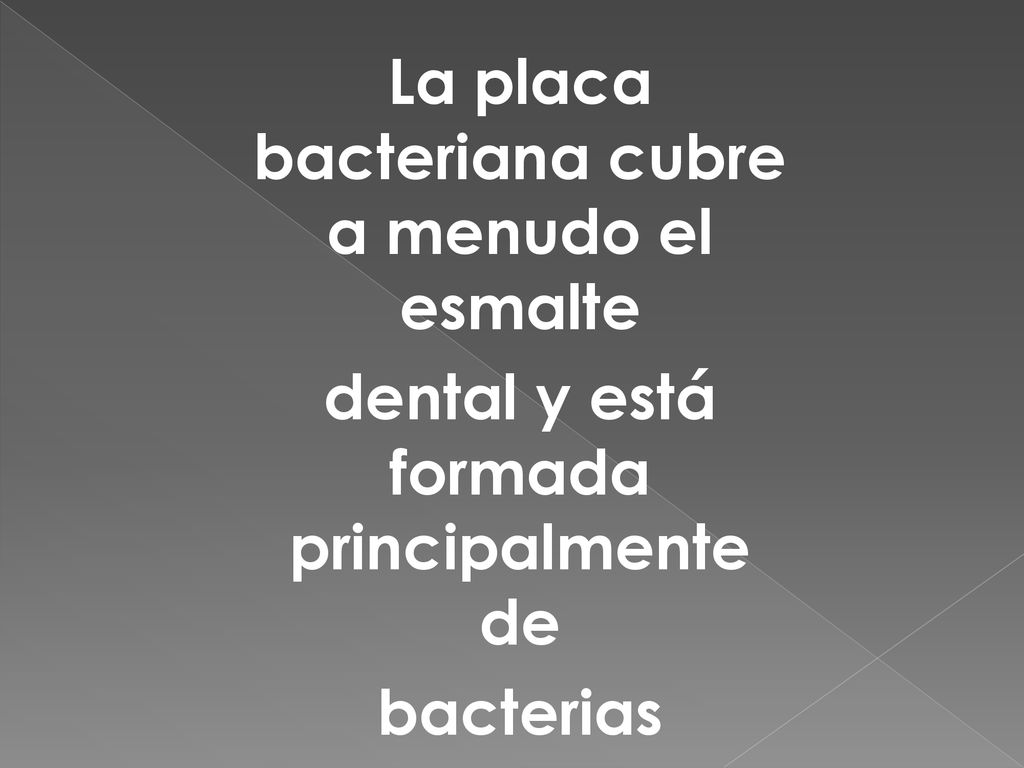 La placa bacteriana cubre a menudo el esmalte dental y está formada principalmente de bacterias