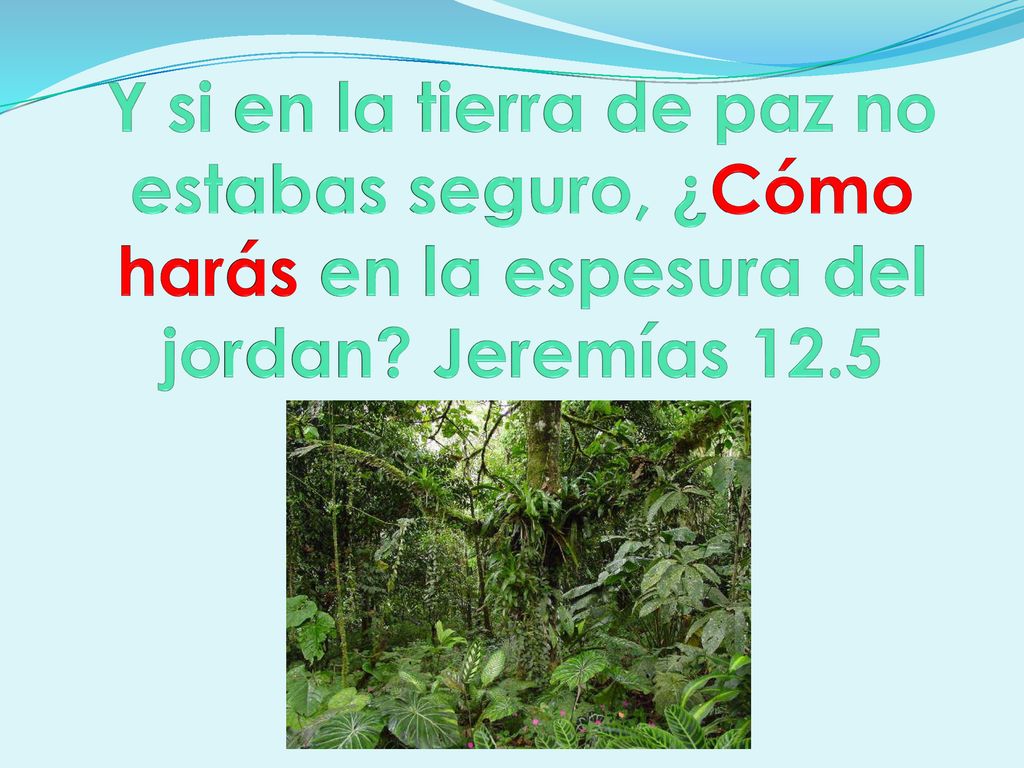 Y si en la tierra de paz no estabas seguro, ¿Cómo harás en la espesura del jordan Jeremías 12.5
