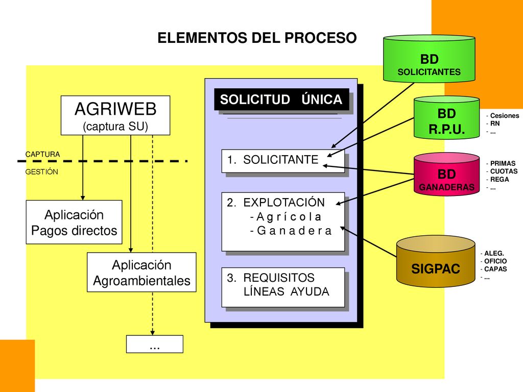 AGRIWEB ELEMENTOS DEL PROCESO BD SOLICITUD ÚNICA BD R.P.U. BD