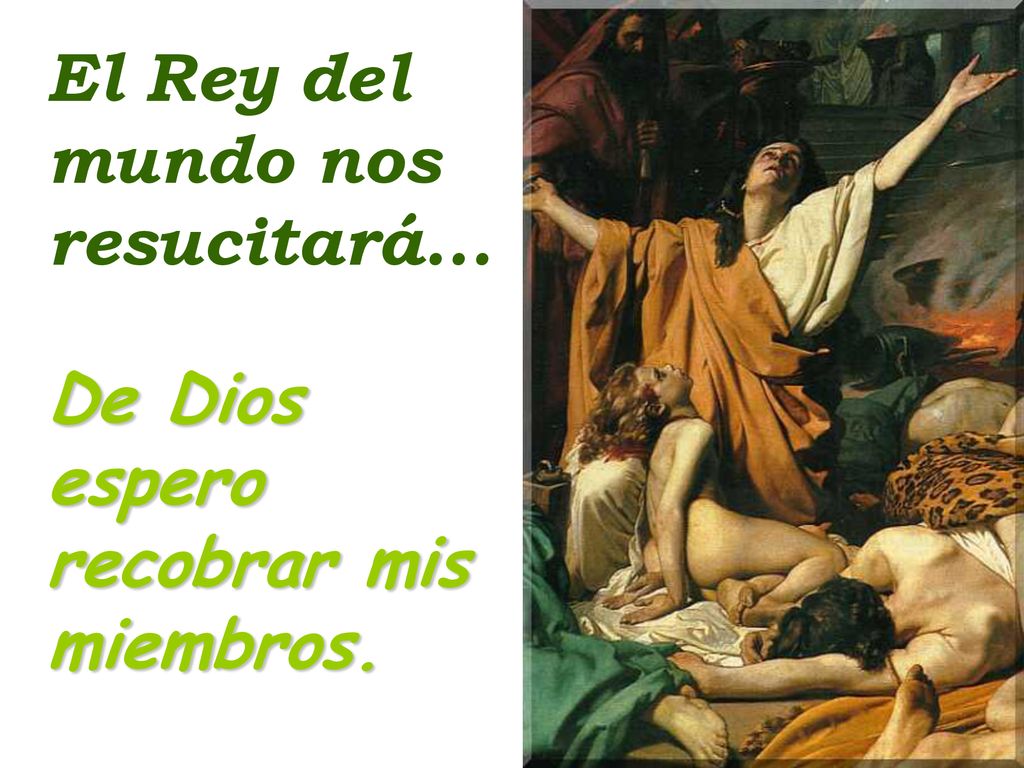El Rey del mundo nos resucitará... De Dios espero recobrar mis miembros.