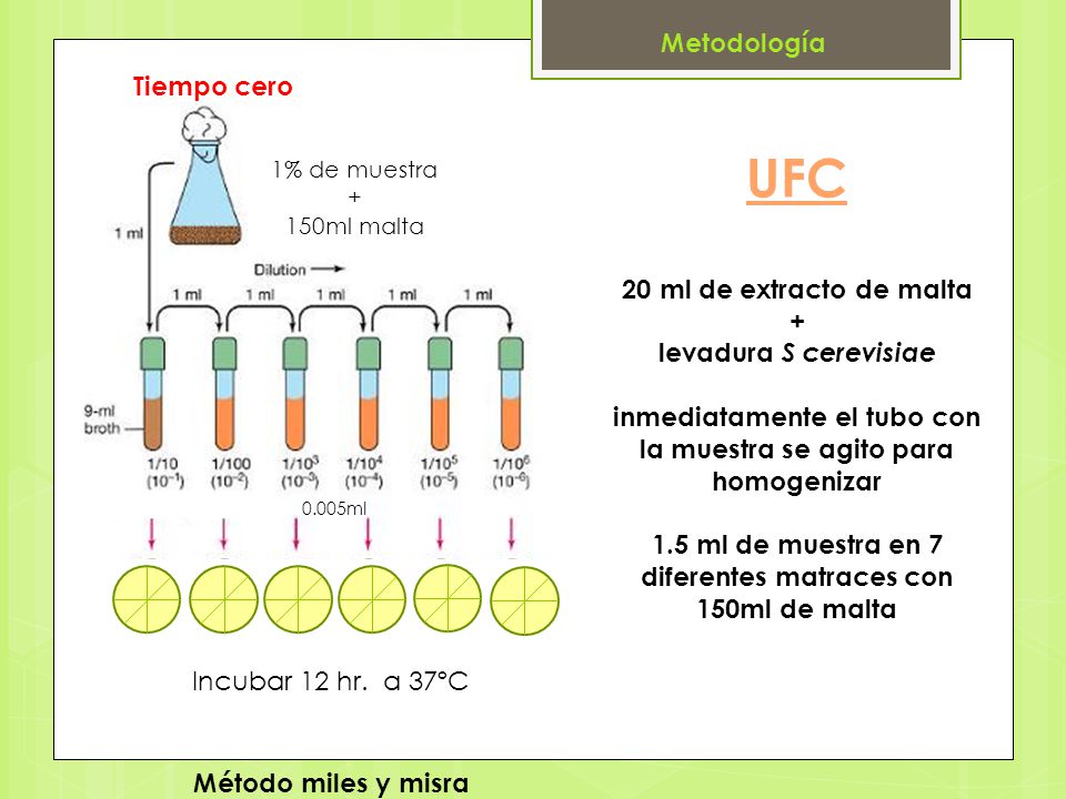 UFC Metodología Tiempo cero 20 ml de extracto de malta +