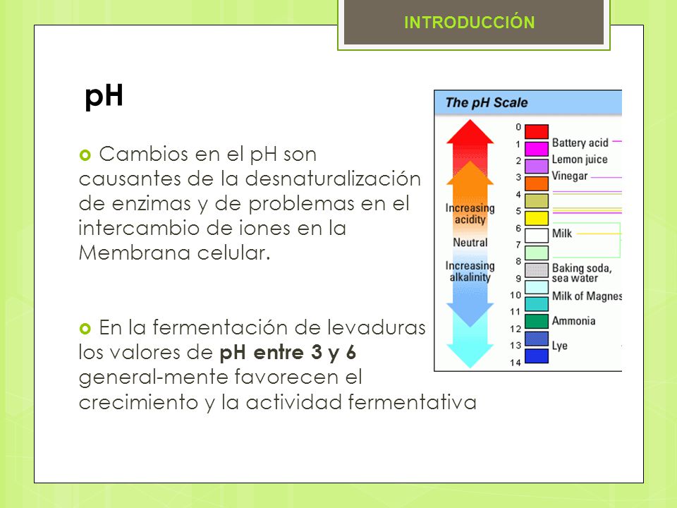 pH Cambios en el pH son causantes de la desnaturalización
