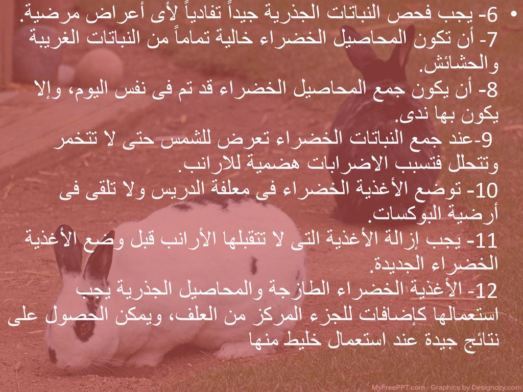 6- يجب فحص النباتات الجذرية جيداً تفادياً لأى أعراض مرضية