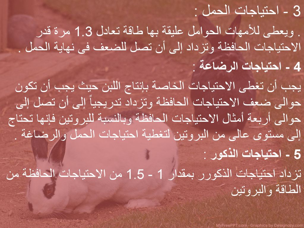 3 - احتياجات الحمل : . ويعطى للأمهات الحوامل عليقة بها طاقة تعادل 1.3 مرة قدر الاحتياجات الحافظة وتزداد إلى أن تصل للضعف فى نهاية الحمل .