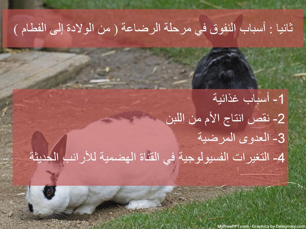 ثانيا : أسباب النفوق في مرحلة الرضاعة ( من الولادة إلى الفطام )