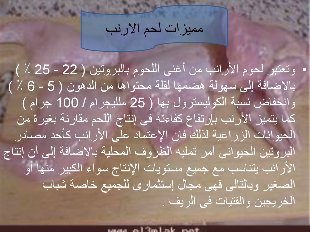 وتعتبر لحوم الأرانب من أغنى اللحوم بالبروتين ( ٪ ) بالإضافة إلى سهولة هضمها لقلة محتواها من الدهون ( ٪ ) وإنخفاض نسبة الكوليسترول بها ( 25 ملليجرام / 100 جرام ) كما يتميز الأرنب بإرتفاع كفاءته فى إنتاج اللحم مقارنة بغيرة من الحيوانات الزراعية لذلك فان الإعتماد على الأرانب كأحد مصادر البروتين الحيوانى أمر تمليه الظروف المحلية بالإضافة إلى أن إنتاج الأرانب يتناسب مع جميع مستويات الإنتاج سواء الكبير منها أو الصغير وبالتالى فهى مجال إستثمارى للجميع خاصة شباب الخريجين والفتيات فى الريف .