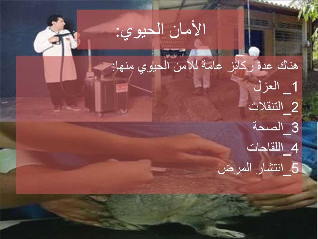 الأمان الحيوي: هناك عدة ركائز عامة للأمن الحيوي منها: 1_ العزل 2_التنقلات 3_الصحة 4_اللقاحات 5_انتشار المرض