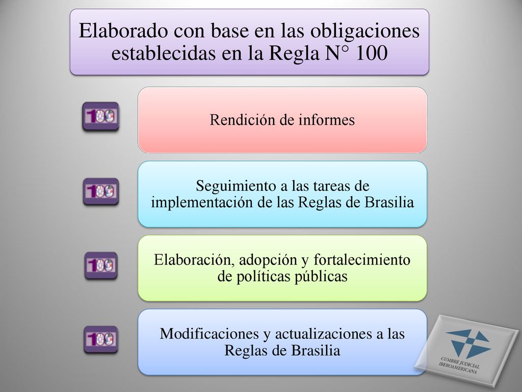 Elaborado con base en las obligaciones establecidas en la Regla N° 100