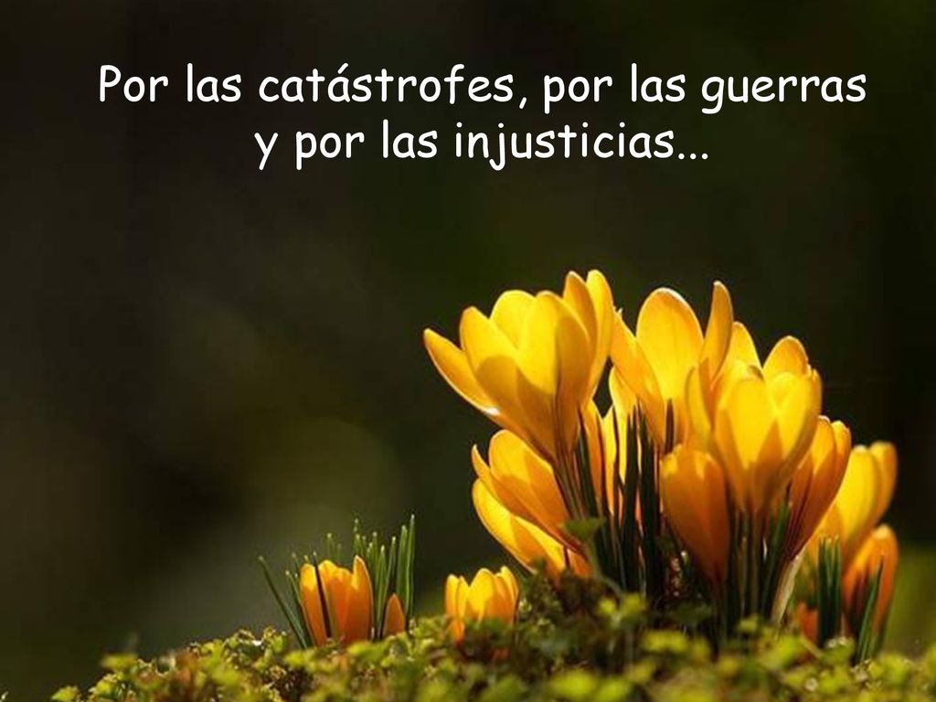 Por las catástrofes, por las guerras y por las injusticias...
