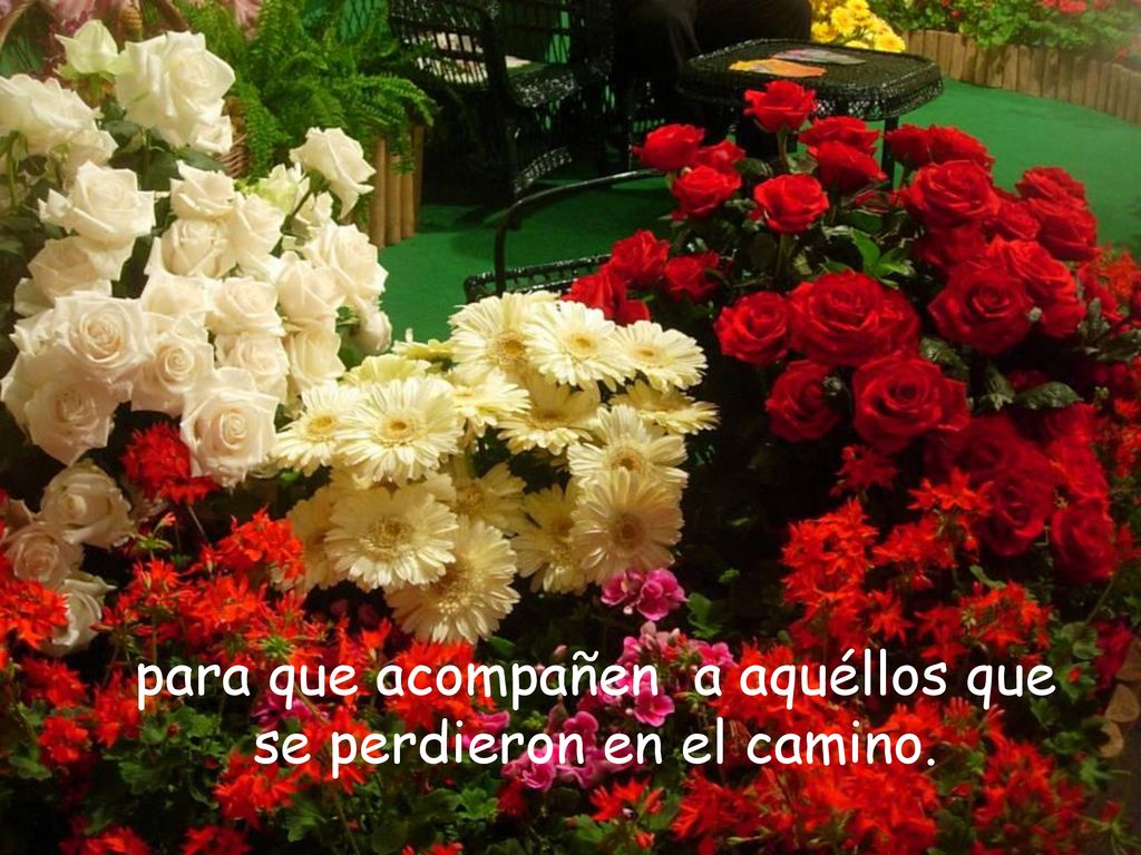 para que acompañen a aquéllos que se perdieron en el camino.
