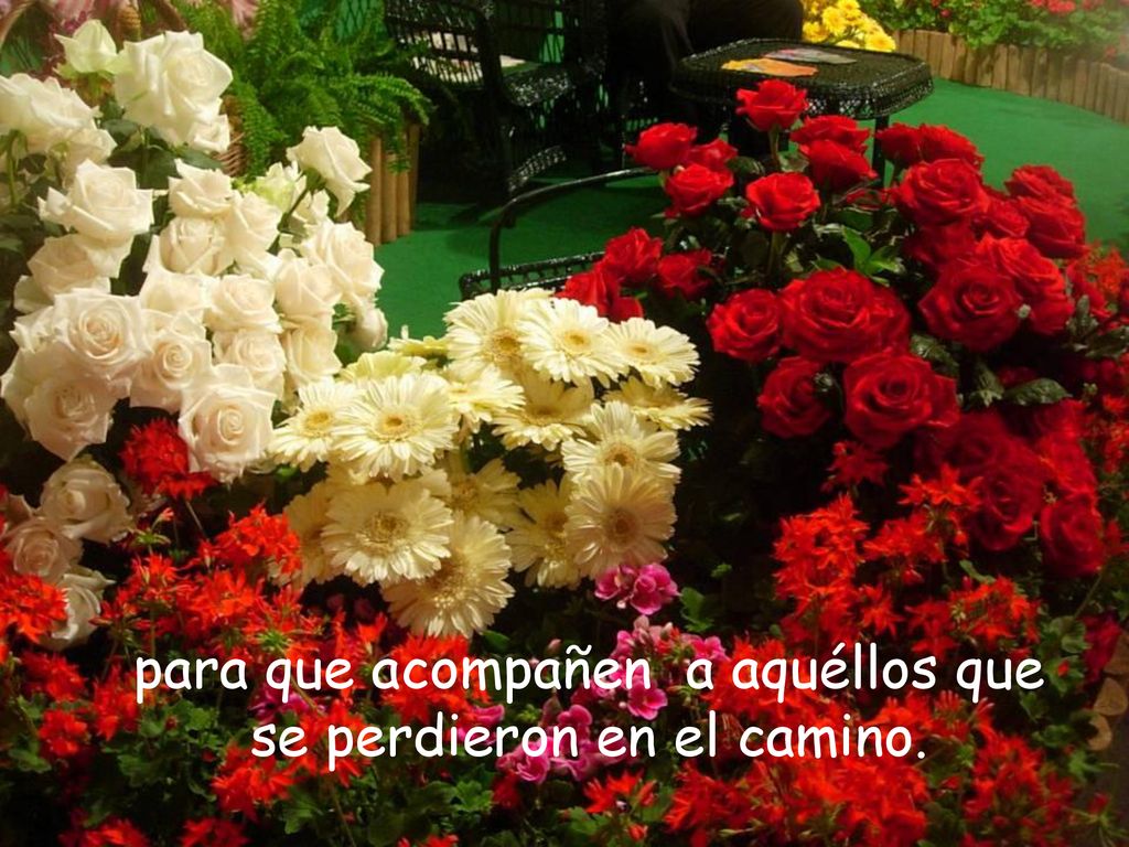 para que acompañen a aquéllos que se perdieron en el camino.