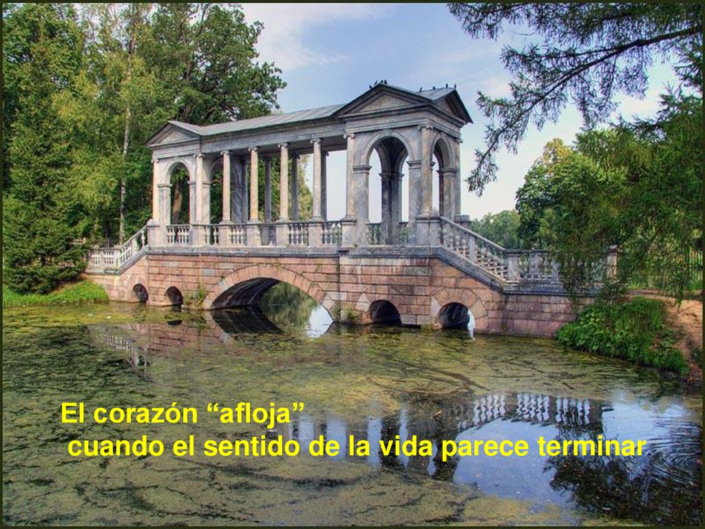 El corazón afloja cuando el sentido de la vida parece terminar.