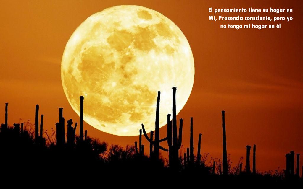 El pensamiento tiene su hogar en Mí, Presencia consciente, pero yo no tengo mi hogar en él