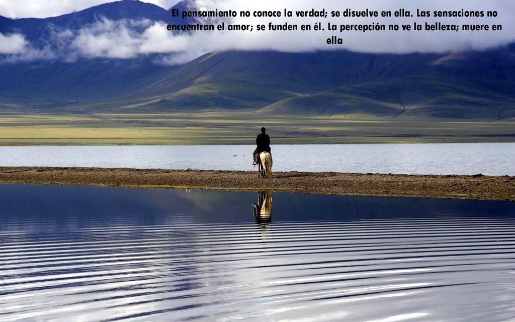 El pensamiento no conoce la verdad; se disuelve en ella