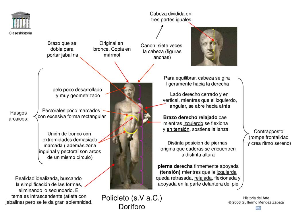 Policleto (s.V a.C.) Doríforo Cabeza dividida en tres partes iguales