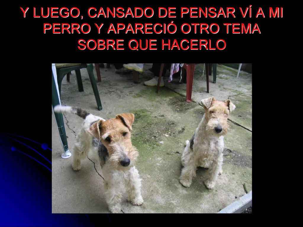 Y LUEGO, CANSADO DE PENSAR VÍ A MI PERRO Y APARECIÓ OTRO TEMA SOBRE QUE HACERLO