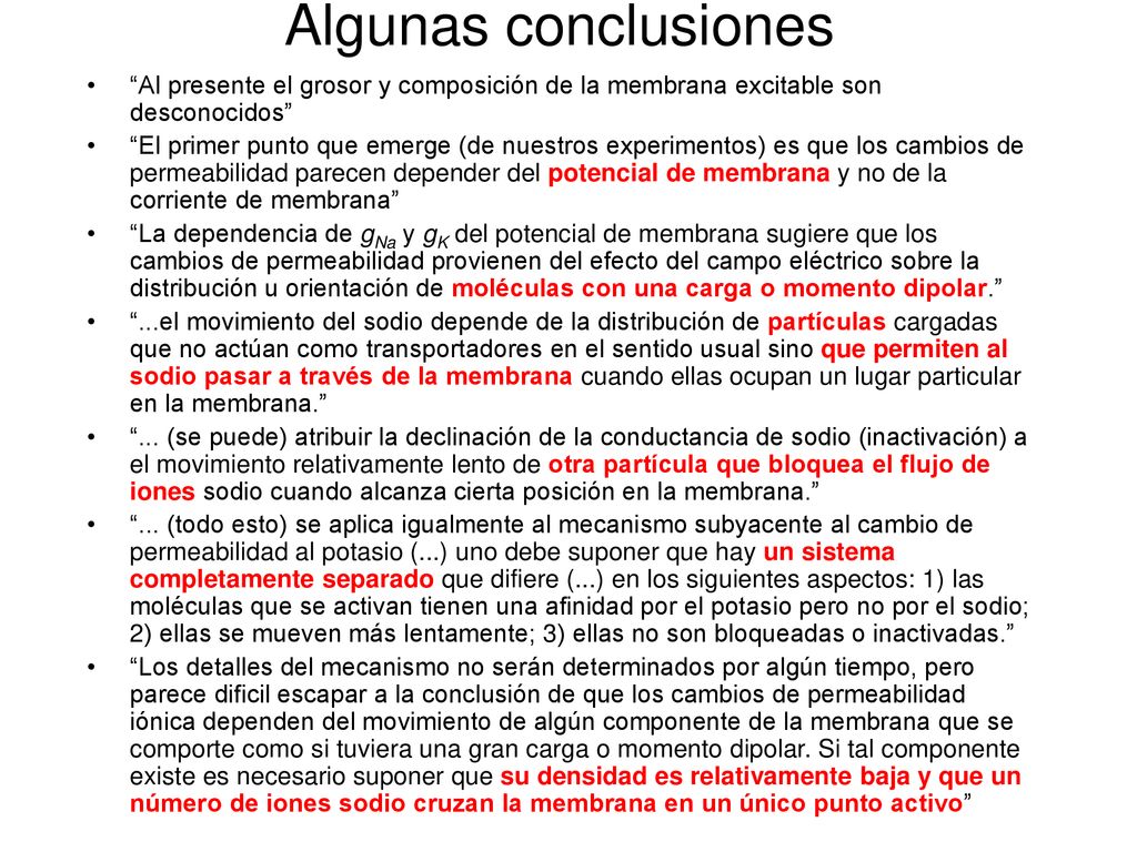 Algunas conclusiones Al presente el grosor y composición de la membrana excitable son desconocidos