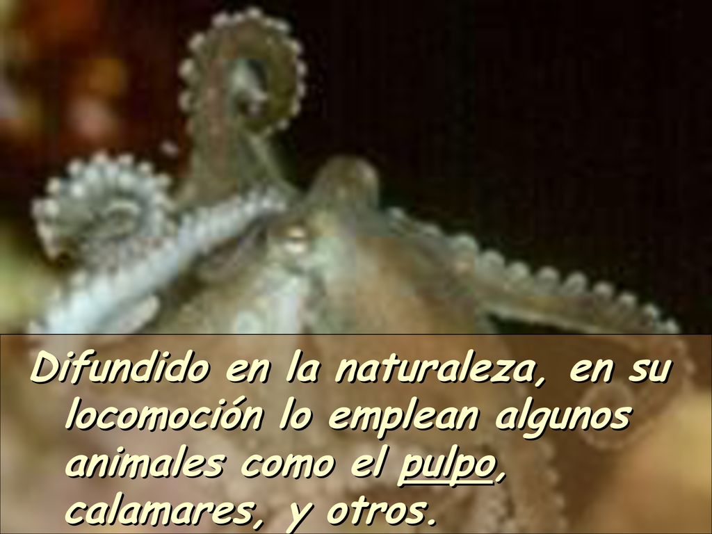Difundido en la naturaleza, en su locomoción lo emplean algunos animales como el pulpo, calamares, y otros.