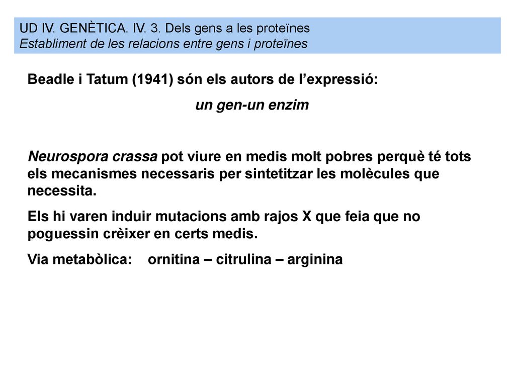 Beadle i Tatum (1941) són els autors de l’expressió: un gen-un enzim