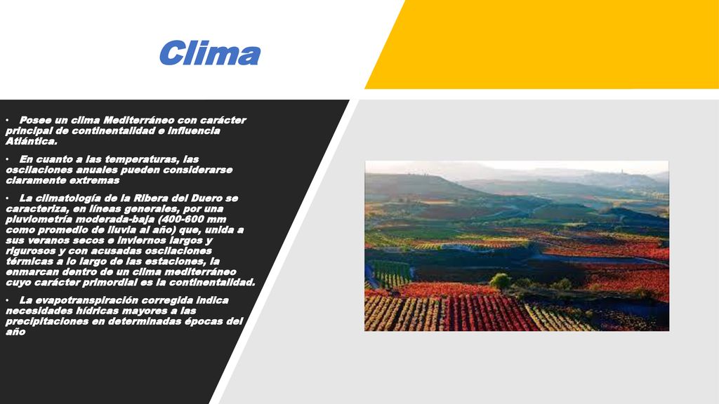Clima Posee un clima Mediterráneo con carácter principal de continentalidad e influencia Atlántica.