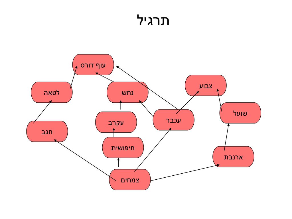 תרגיל עוף דורס צבוע לטאה נחש שועל עכבר עקרב חגב חיפושית ארנבת צמחים