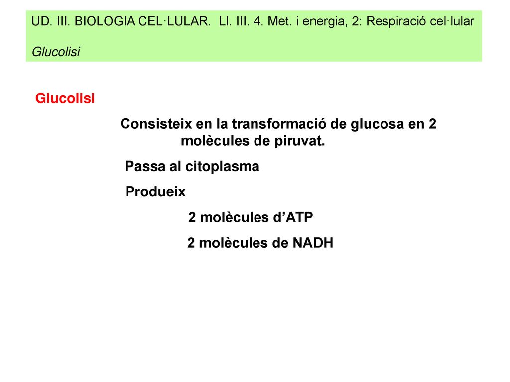 Consisteix en la transformació de glucosa en 2 molècules de piruvat.