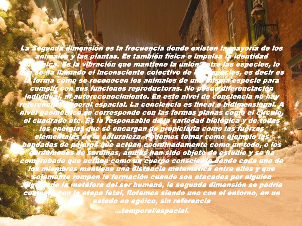La Segunda dimensión es la frecuencia donde existen la mayoría de los animales y las plantas.