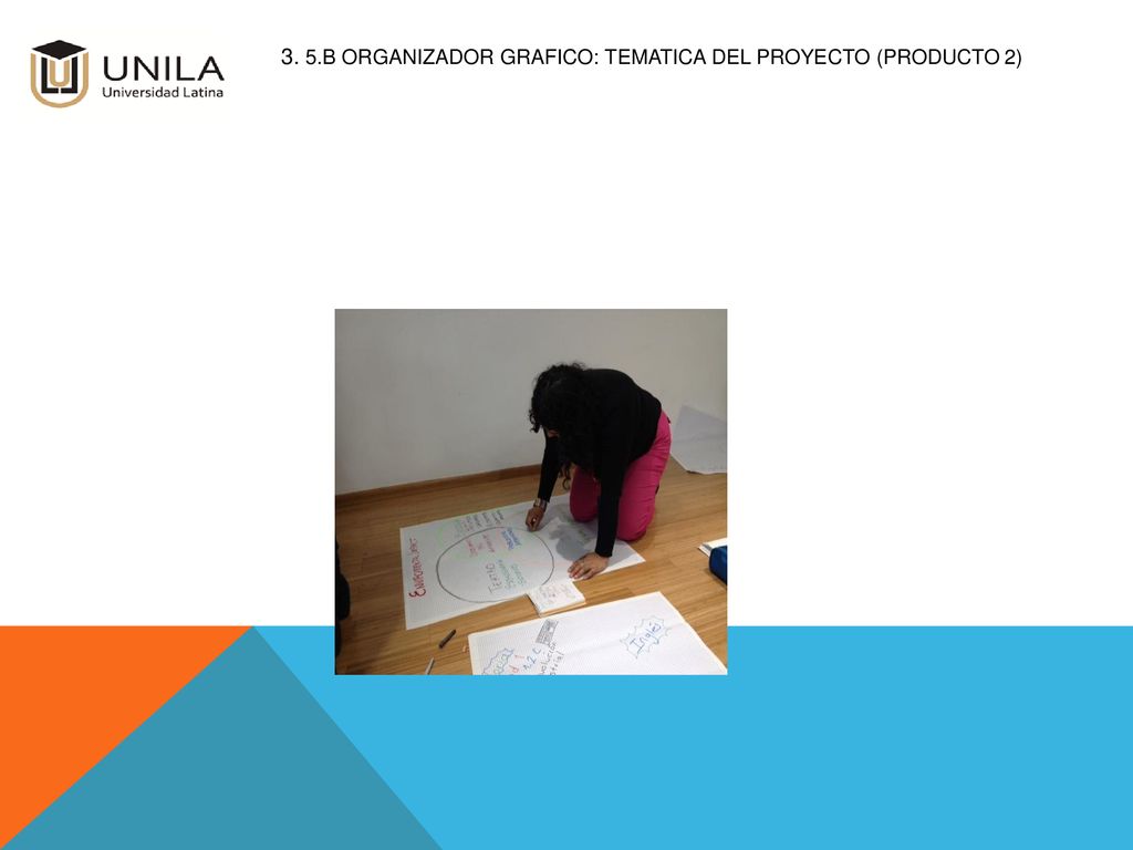 3. 5.b ORGANIZADOR GRAFICO: TEMATICA DEL PROYECTO (Producto 2)