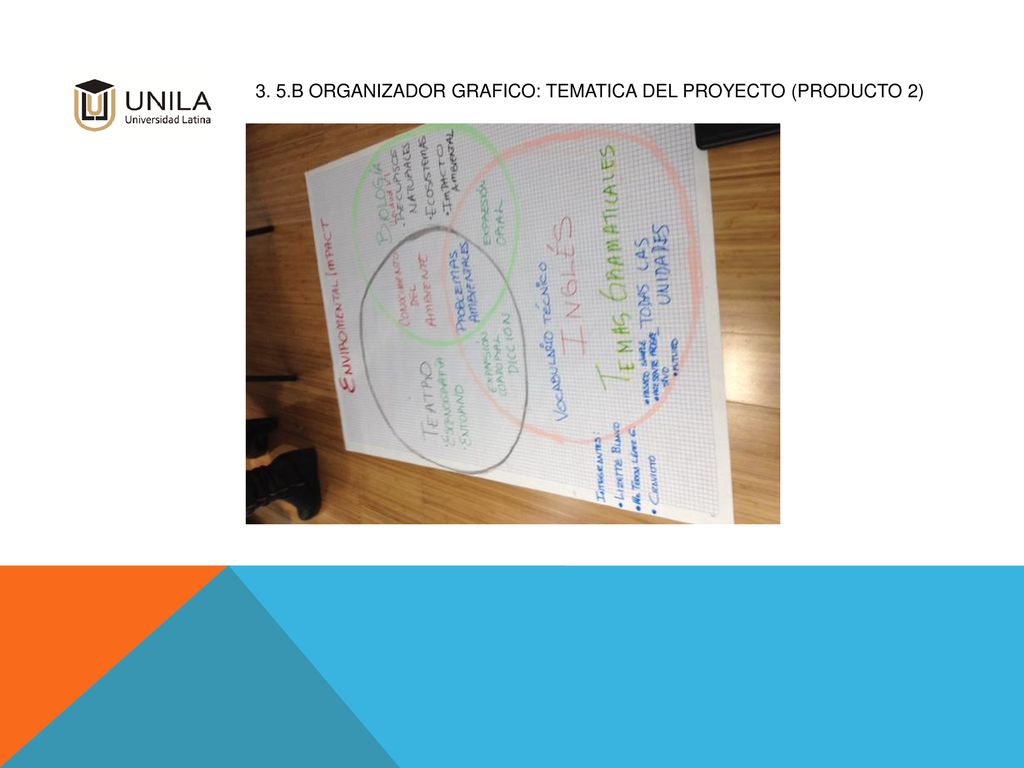 3. 5.b ORGANIZADOR GRAFICO: TEMATICA DEL PROYECTO (Producto 2)